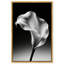 Petal Wave Print by Oliver Gal-610960091-610960039
