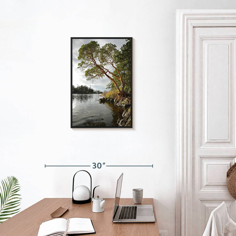 Arbousier au bord de l'eau, Cadre flottant noir, 17 po x 25 po