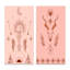 Boho Tribal Elements in Tones of Pink III - ensemble de 2 reproductions-1048475894-1048475893