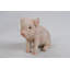 Statue porc de bébé assis-16443396