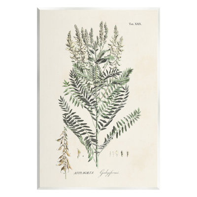«Forest Forest Study» par Martini