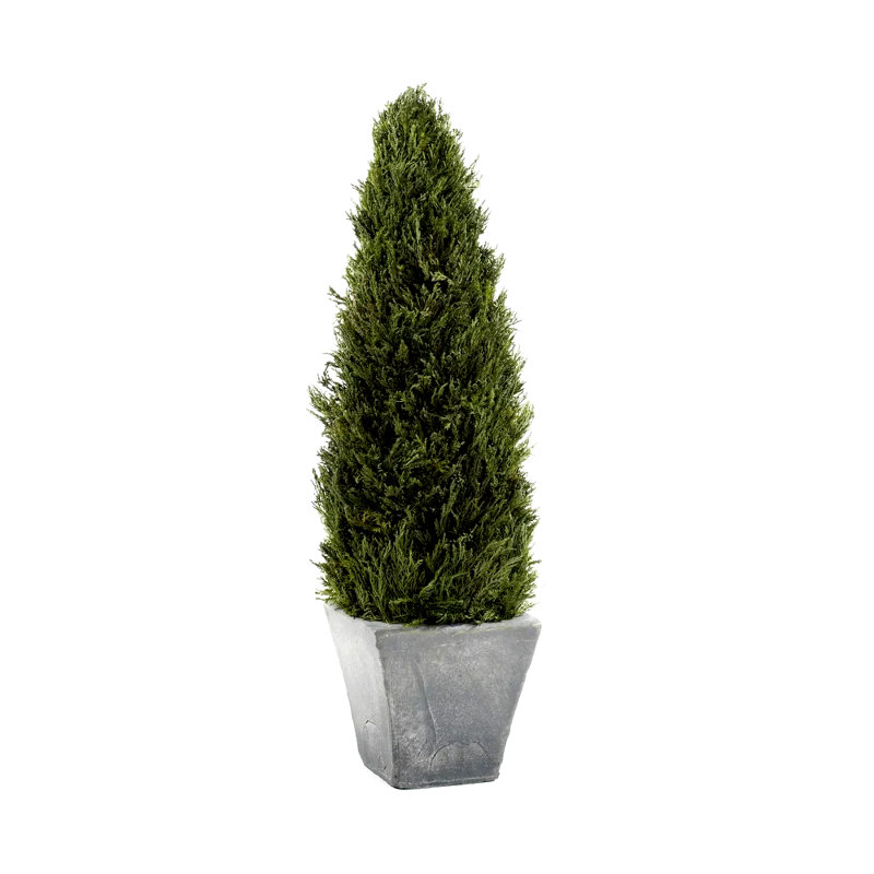 Topiaire de cyprès artificiel en pot, H 24 po x l 5 po x P 5 po
