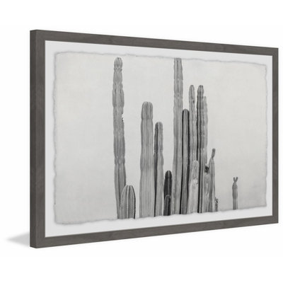 Altenburg " Long And Short Cacti " by Morgan Hartley
