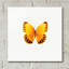 «Yellow Butterfly 2» par Photoinc Studio, art mural en verre acrylique-1814454296