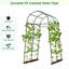 Rohila 230cm H x 160cm W Metal Arched