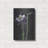 " Blossom " by Barbara Keith-2004671400