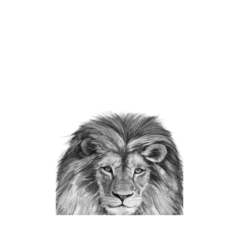 Lion by Laura Graves - Wrapped Canvas Print, 101.6 cm H x 66.04 cm W x 1.91 cm D