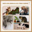 Gertrude 70cm H Cat Tree-1013703116
