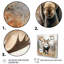 Moose Serenity II - Moose, art mural encadré-1155156839-1155156840