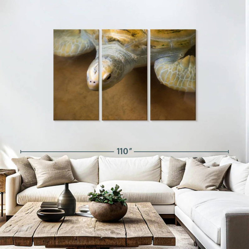Brampt Stunning Turtle, 48" H x 74" W