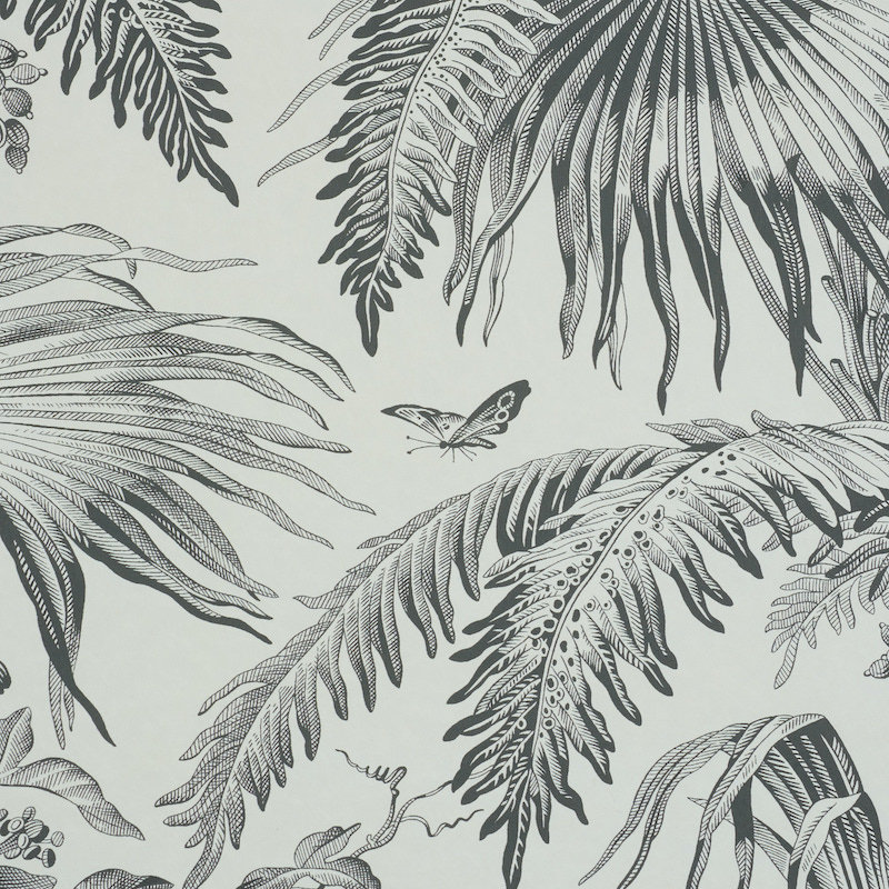Schumacher x Jill Lasersohn Toile Tropique Wallpaper, Black