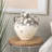 Cole And Grey Ceramic Antique Style Pot Vase With Arched Handles