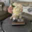 Customer photo 2 of 2