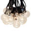 Alsip 50' Outdoor 50 - Bulb Globe String Light-2140593198