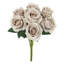 Velours rosier-363887455