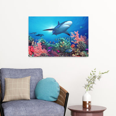 Low Angle View Of A Shark Swimming Underwater Indo-Pacific Ocean Abstract Contemporary Shark Landscape Nature Art