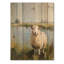 Mouton au bord de l'étang avec brise douce - Décoration murale en bois de mouton - sur bois de pin naturel-1521959481