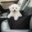 Polyester Pet Bed-1774289329