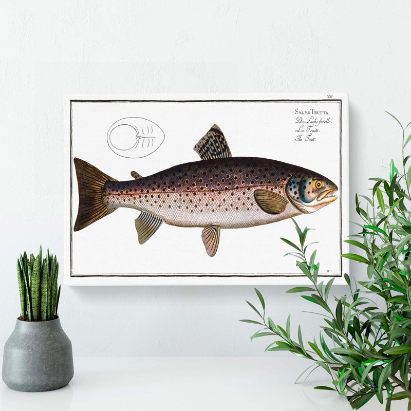 Brown Trout Fish by M.E. Bloch - Wrapped Canvas Painting, 60cm H x 91cm W x 3cm D