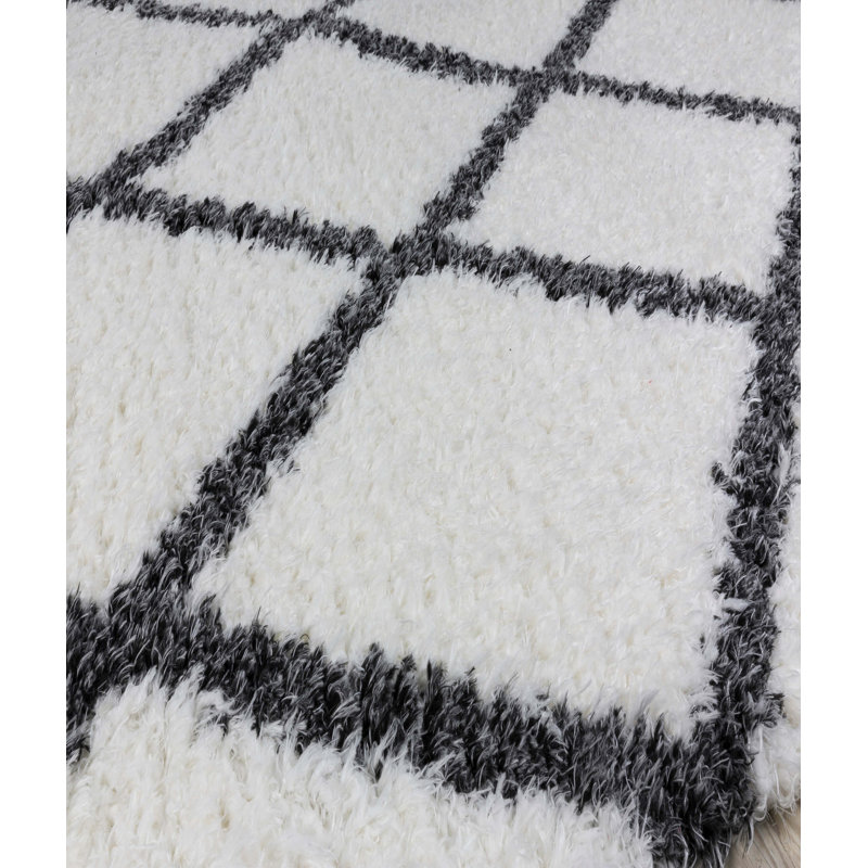 Tapis à poils longs Marquavius, Rectangle 2 pi 8 po x 5 pi