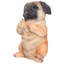Chiot carlin assis