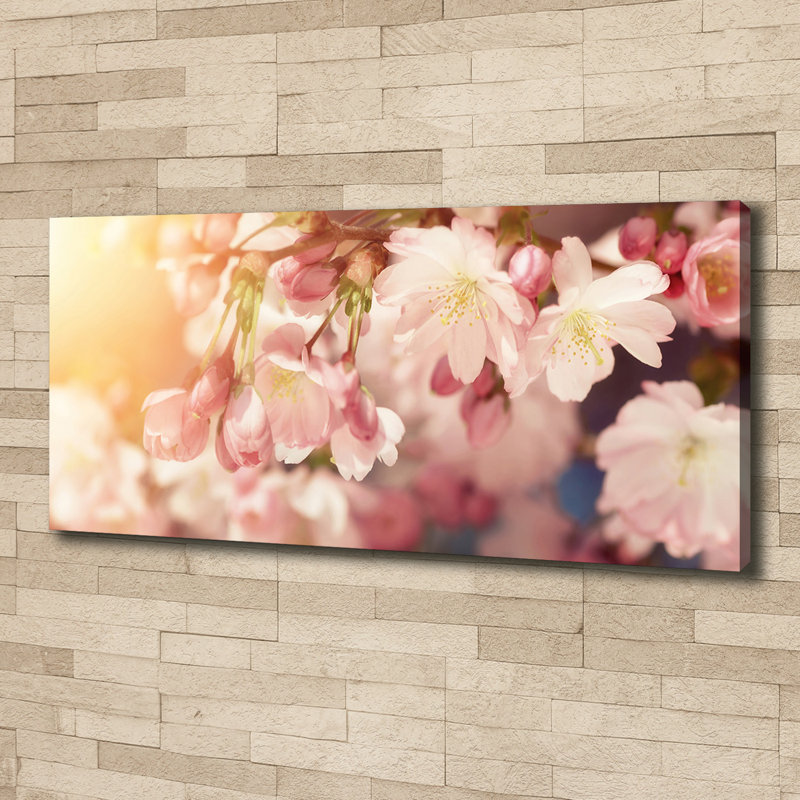 Cherry Blossoms - No Frame Print on Canvas