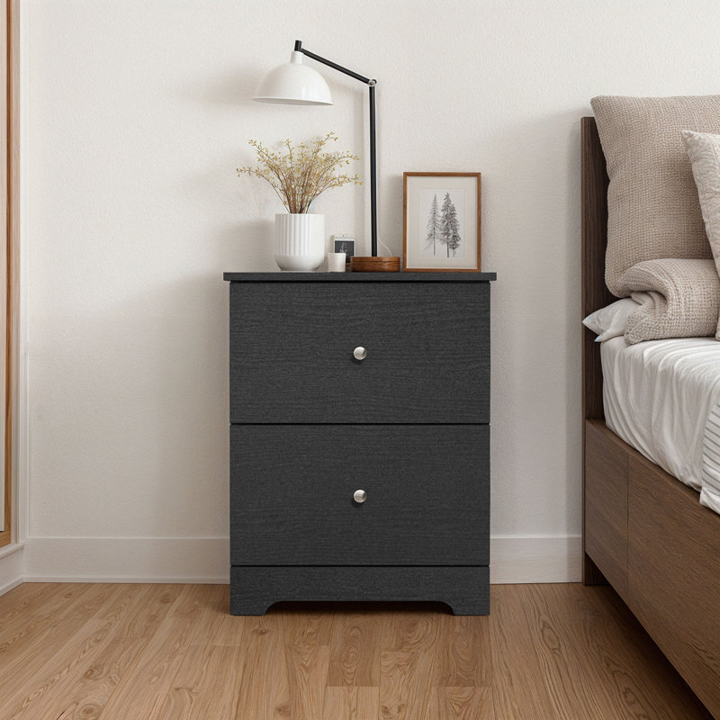 Darin Modern 23.7" 2-Drawer Nightstand, Black, Individual