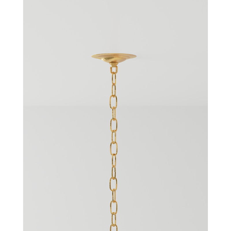 Agave Americana 22 - Light Chandelier