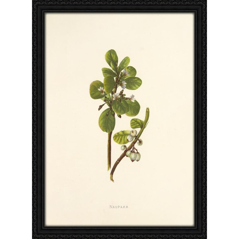 Naupaka (1885), 38" H x 28" W