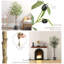 Faux olivier forêt pour bureau, salon, patio type A-2049441867