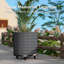 Planter-1904890862