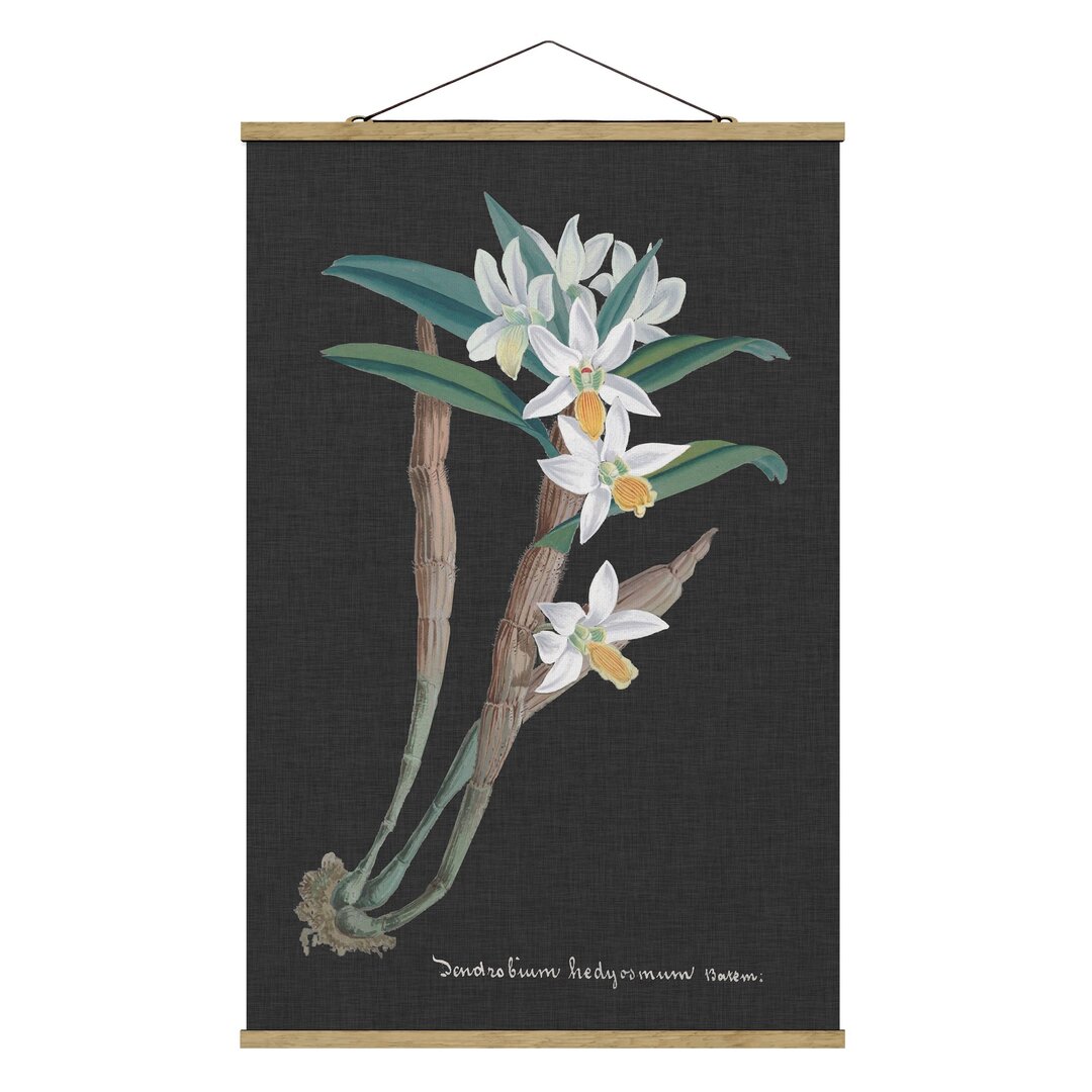 Wandbild White Orchid on Linen I