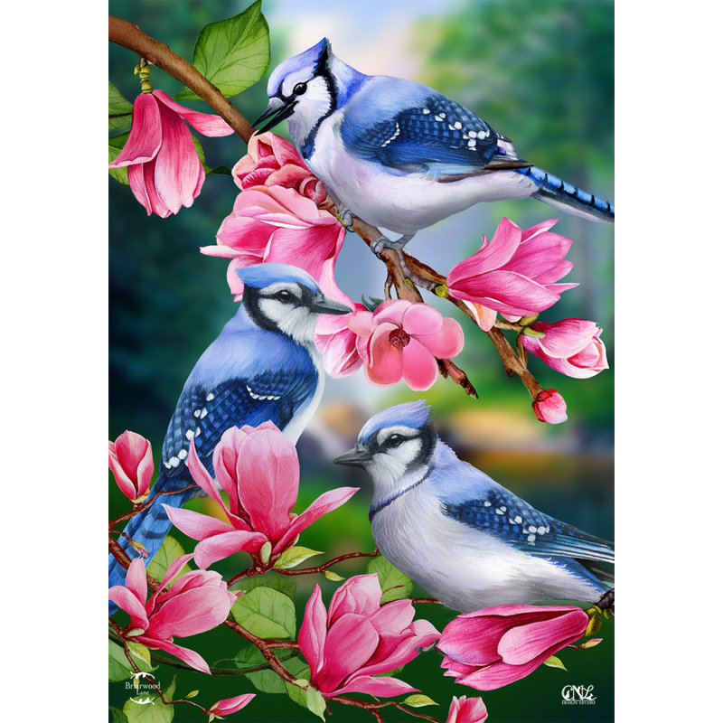Drapeau de jardin bleu Jay Trio