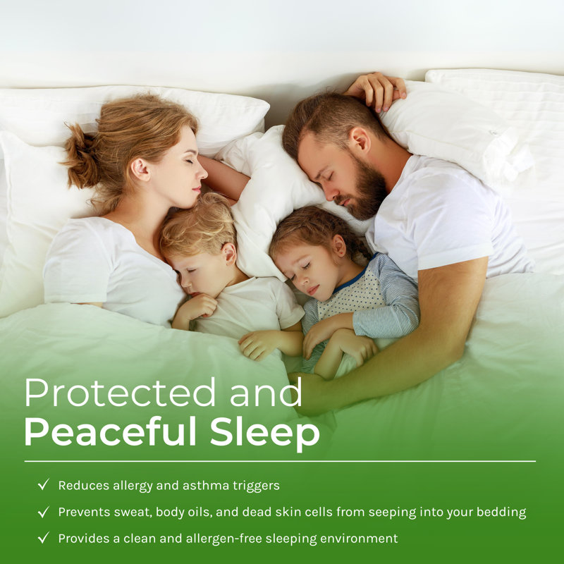 Zippered Mattress Protector - Bed Bug, Lice and Dust Mite Proof, Extra-Long Full