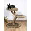 Cram 75cm H Cat Tree