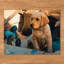 Chiot à pagaie Piddle, 28 x 35,5 cm, impression sur papier sans cadre