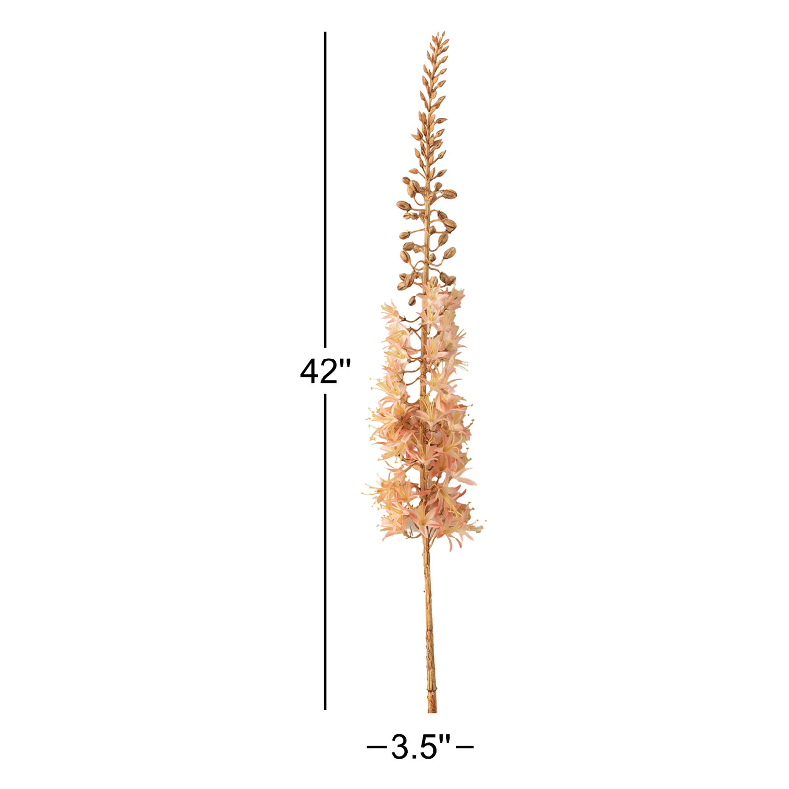 Eremurus Arrangement, Peach