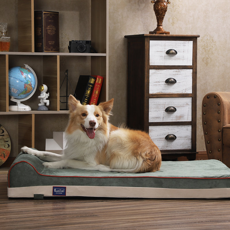 Traversin géant pour chien, L 46 po x P 28 po x H 8 po, Vert