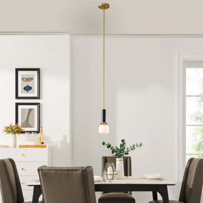 Luminaire suspendu cylindrique 1 lumière