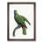 Walnut Framed selected