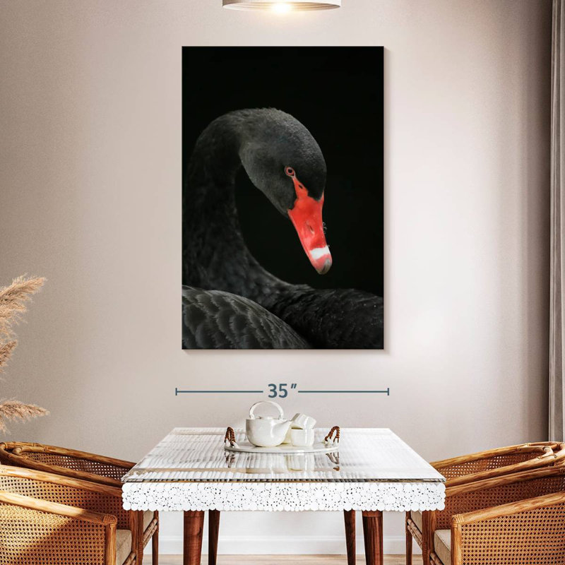 Brampt Black Swan Head, 36" H x 24" W