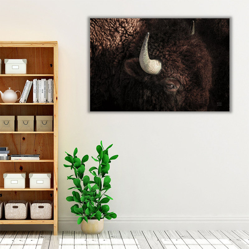 Bison - Canvas Print Wall Art, 16" H x 24" W
