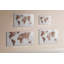 Magnetic Glass Dry Erase Board