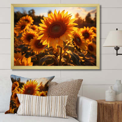 Tournesols orange et tournesols éclairés II
