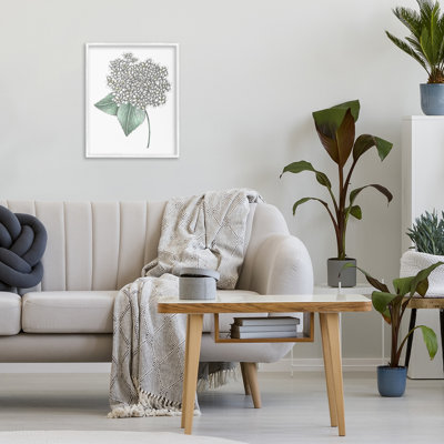 Croquis d'hydrangées blanches, giclée encadrée par Cecilia Battaini