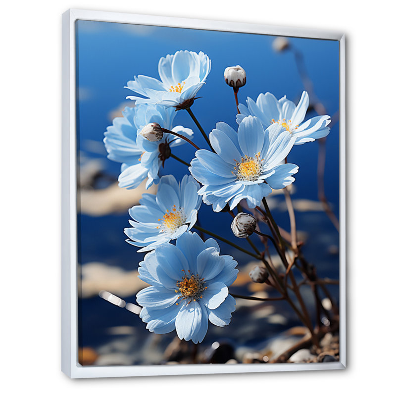 Fleurs, marguerite céleste noire - impression sur toile florale, H 40 po x l 30 po x P 1,5 po, Cadre flottant blanc