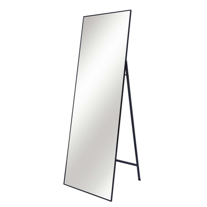 Metal Frame Stand Full-Length Mirror, Black