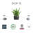 Pot Planter-96136725-96136726