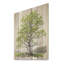 Arbre de Basswood américain ensoleillé vert Essence III - Arbre sur bois-365936837