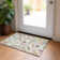 Maldanado Washable Paisley Indoor / Outdoor Rug